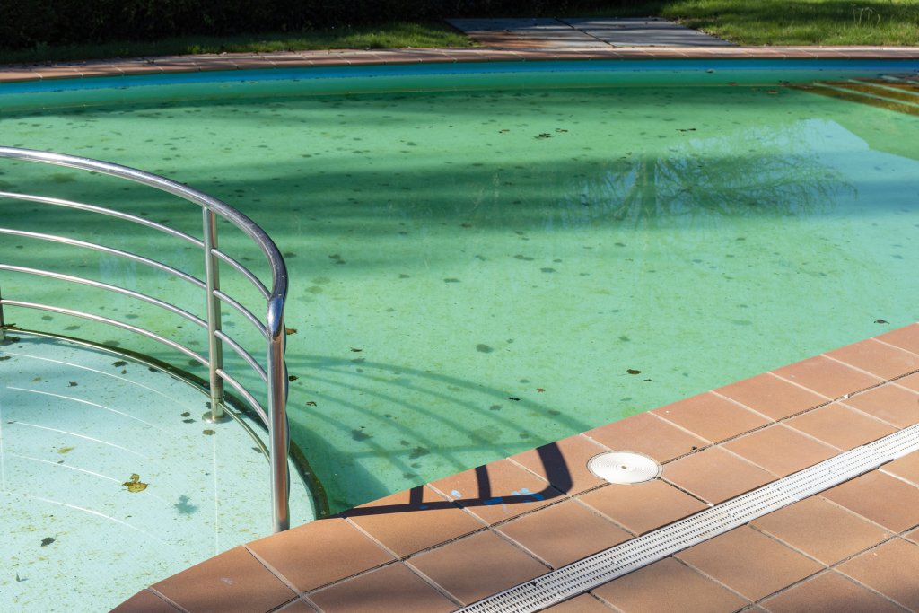 Why Is My Pool Water Green? [And How To Fix It Fast] 1